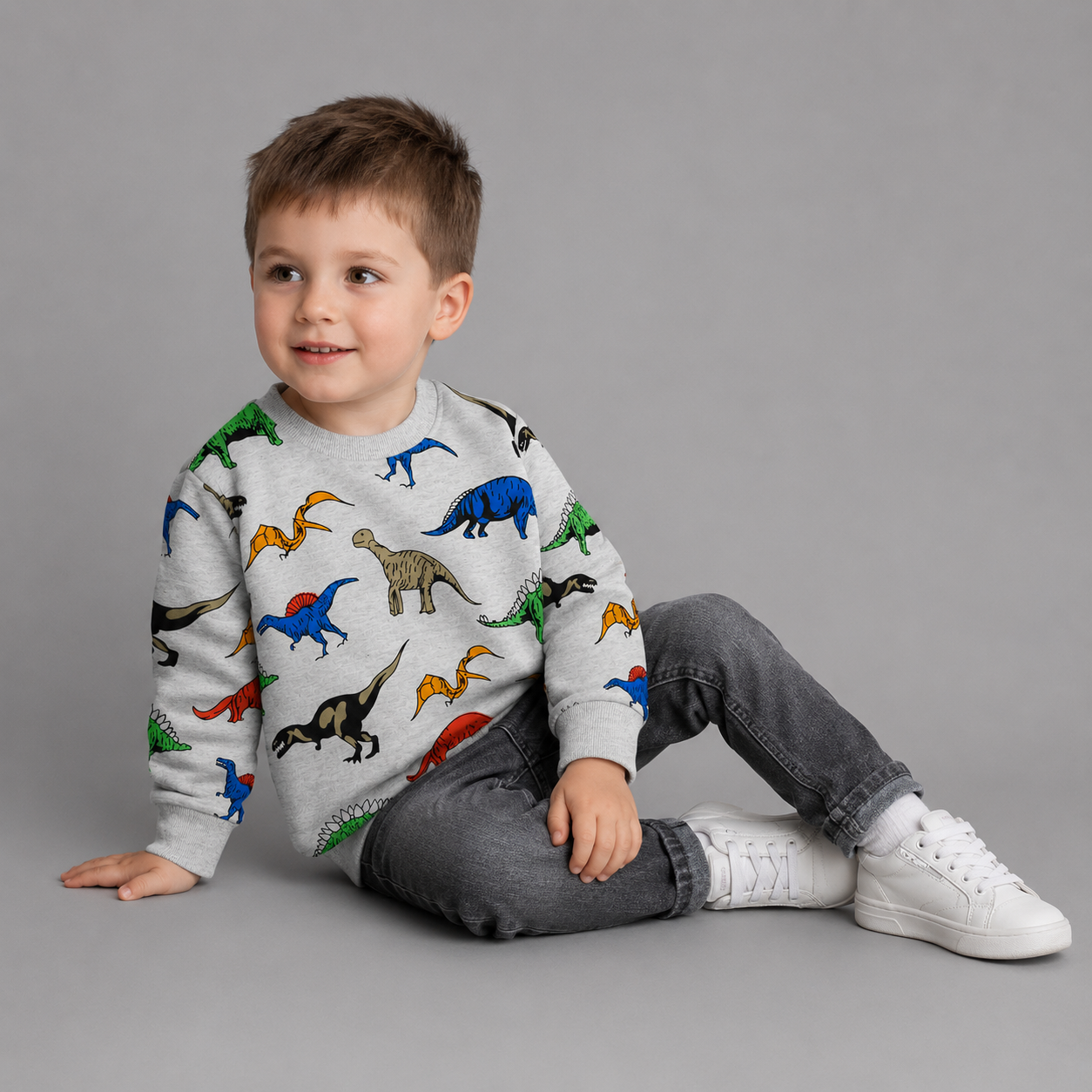 Dino Everyday Sweatshirt