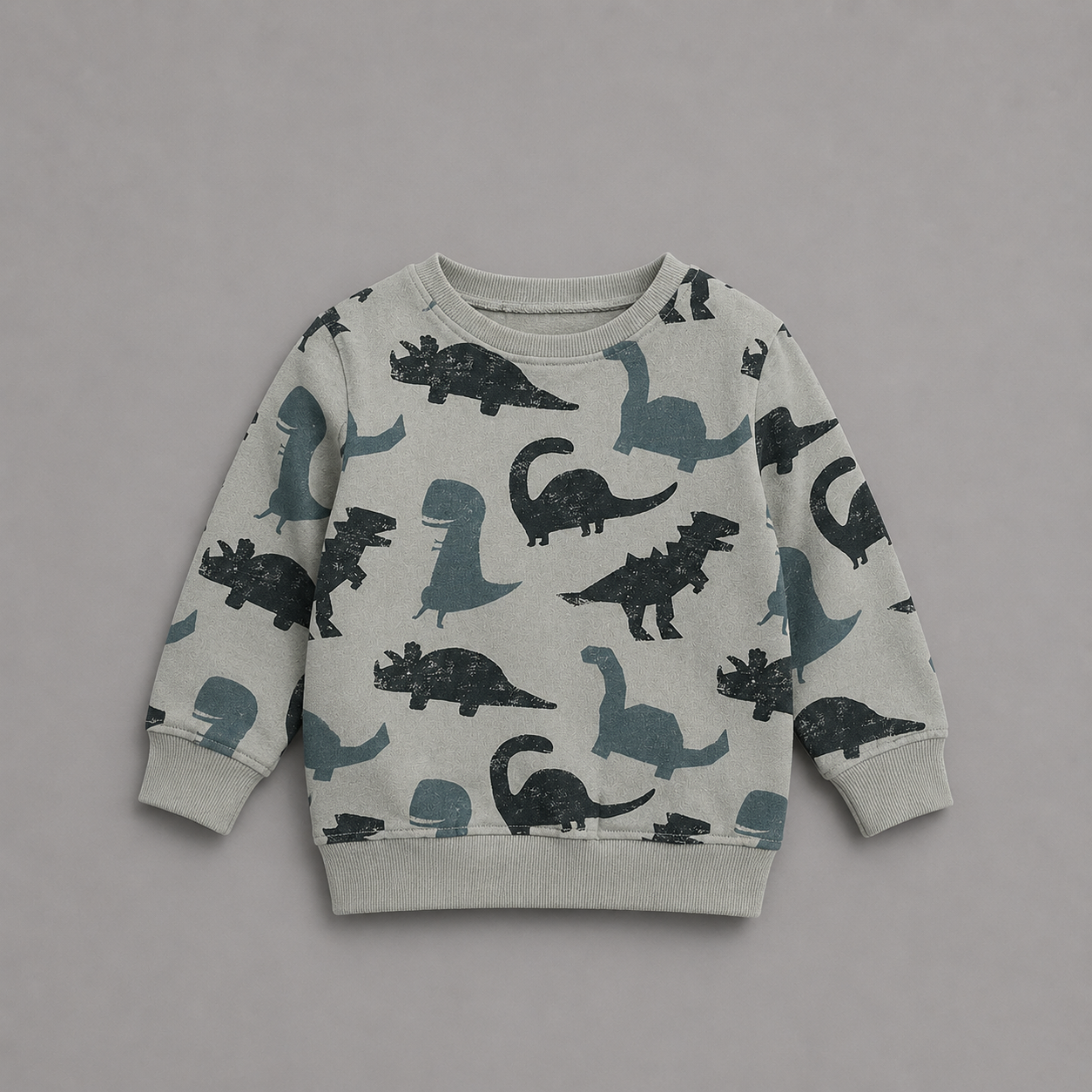 Dino Everyday Sweatshirt