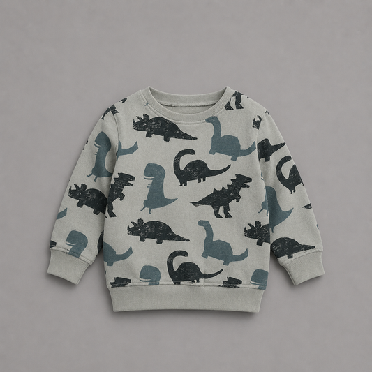 Dinosaur Sweater Terry Bottoming Shirt Long-sleeved Pullover Top Cartoon
