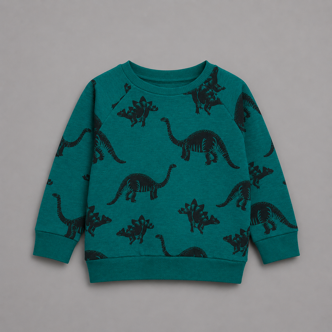 Dino Everyday Sweatshirt