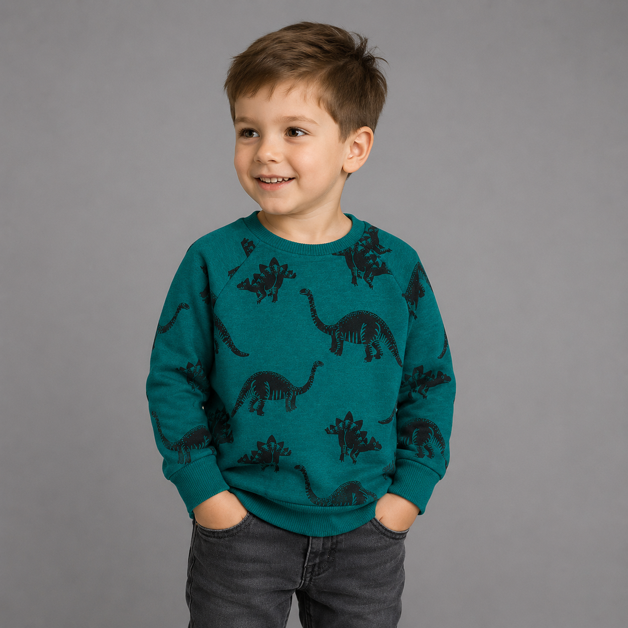 Dino Everyday Sweatshirt